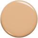 445 Vanilla Infallible Up to 32 Hour Fresh Wear Foundation 