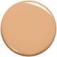 455 Natural Buff Infallible Up to 32 Hour Fresh Wear Foundation 