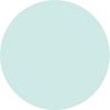 Mint Corrector