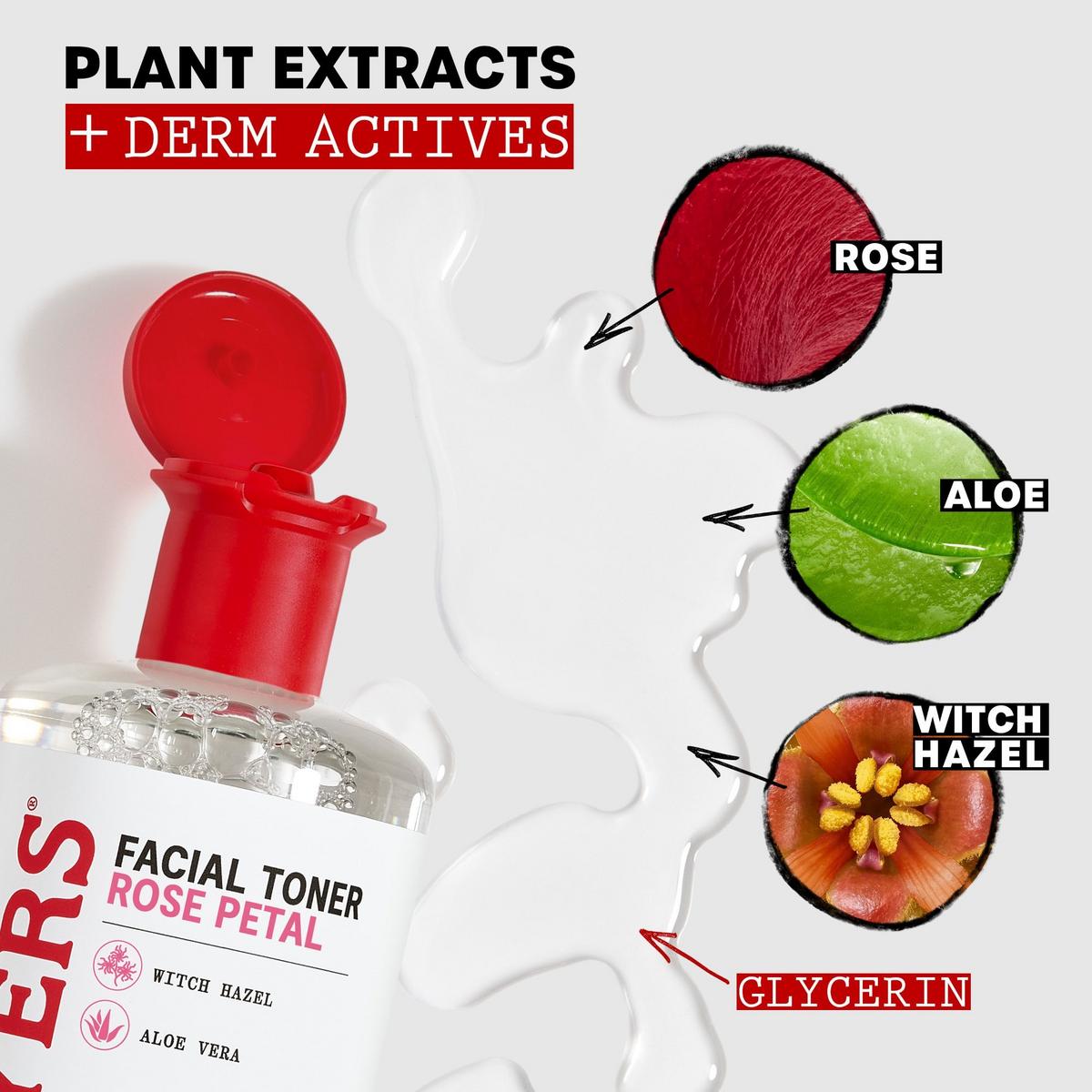 Thayers Natural Remedies Witch Hazel Alcohol Free Toner with Rose Petal 12 fl oz