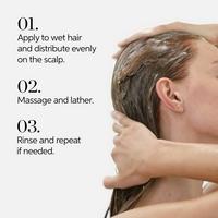 Wella Invigo Brilliance Shampoo For Normal Hair #5