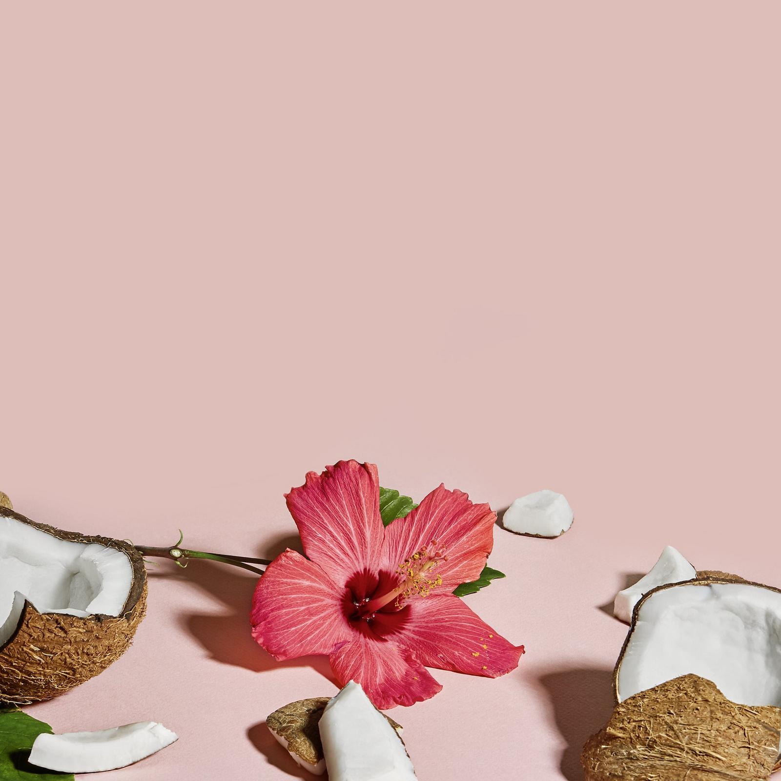 Coconut & Hibiscus Hair Masque