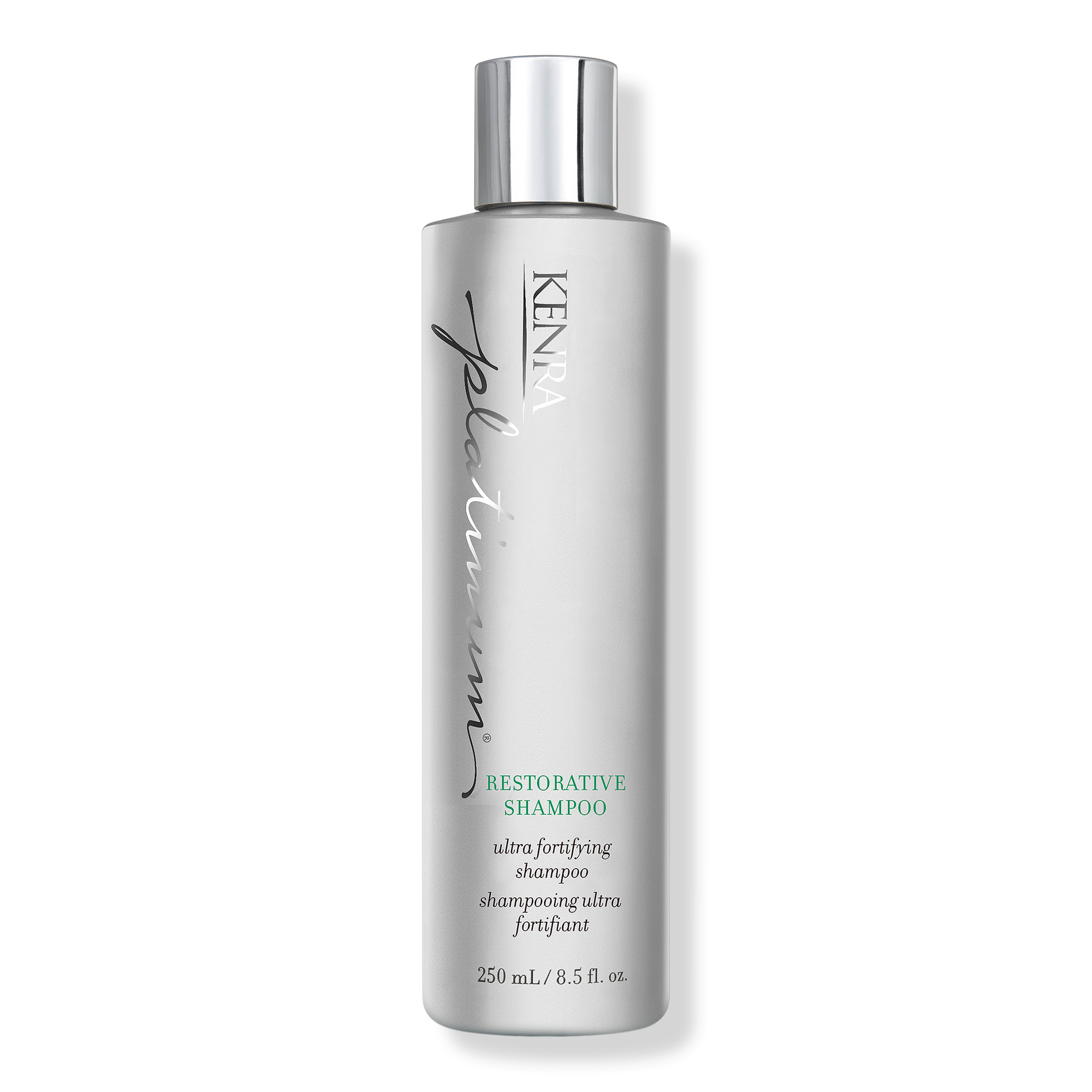 Kenra Professional Platinum Restorative Shampoo #1