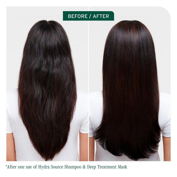 Biolage Hydra Source Deep Treatment Mask for Dry Hair #3