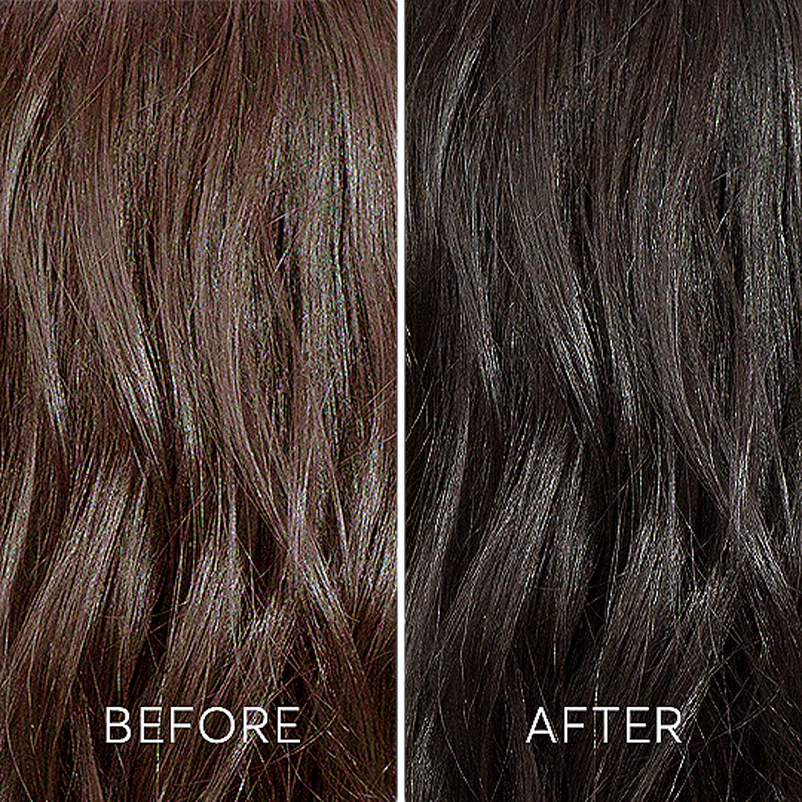 Color Reviving Gloss