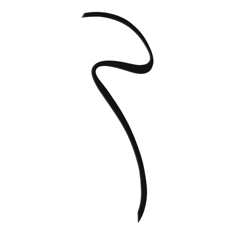 L'Oréal Infallible Flash Cat Eye Waterproof Liquid Eyeliner #3