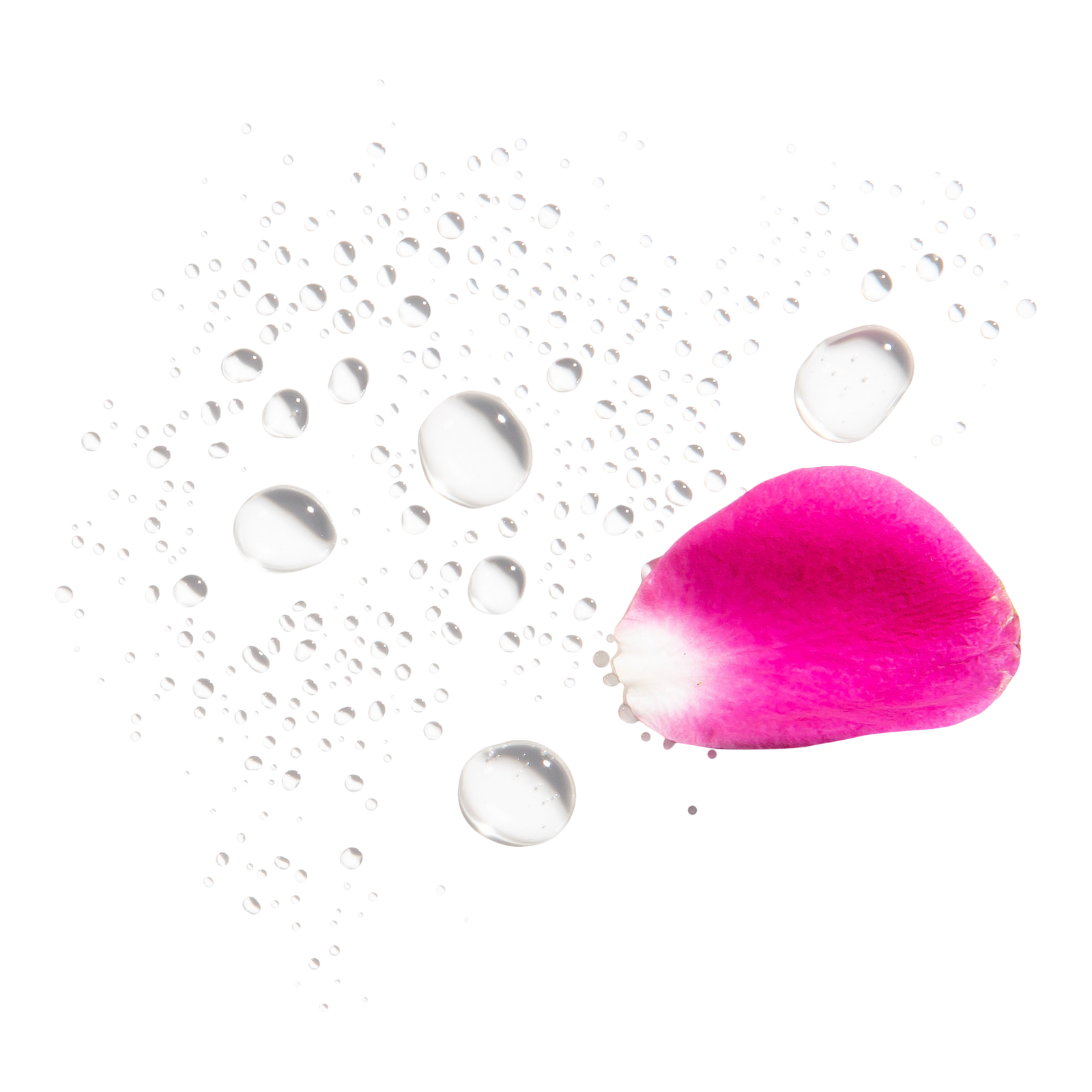 Rosewater Spray