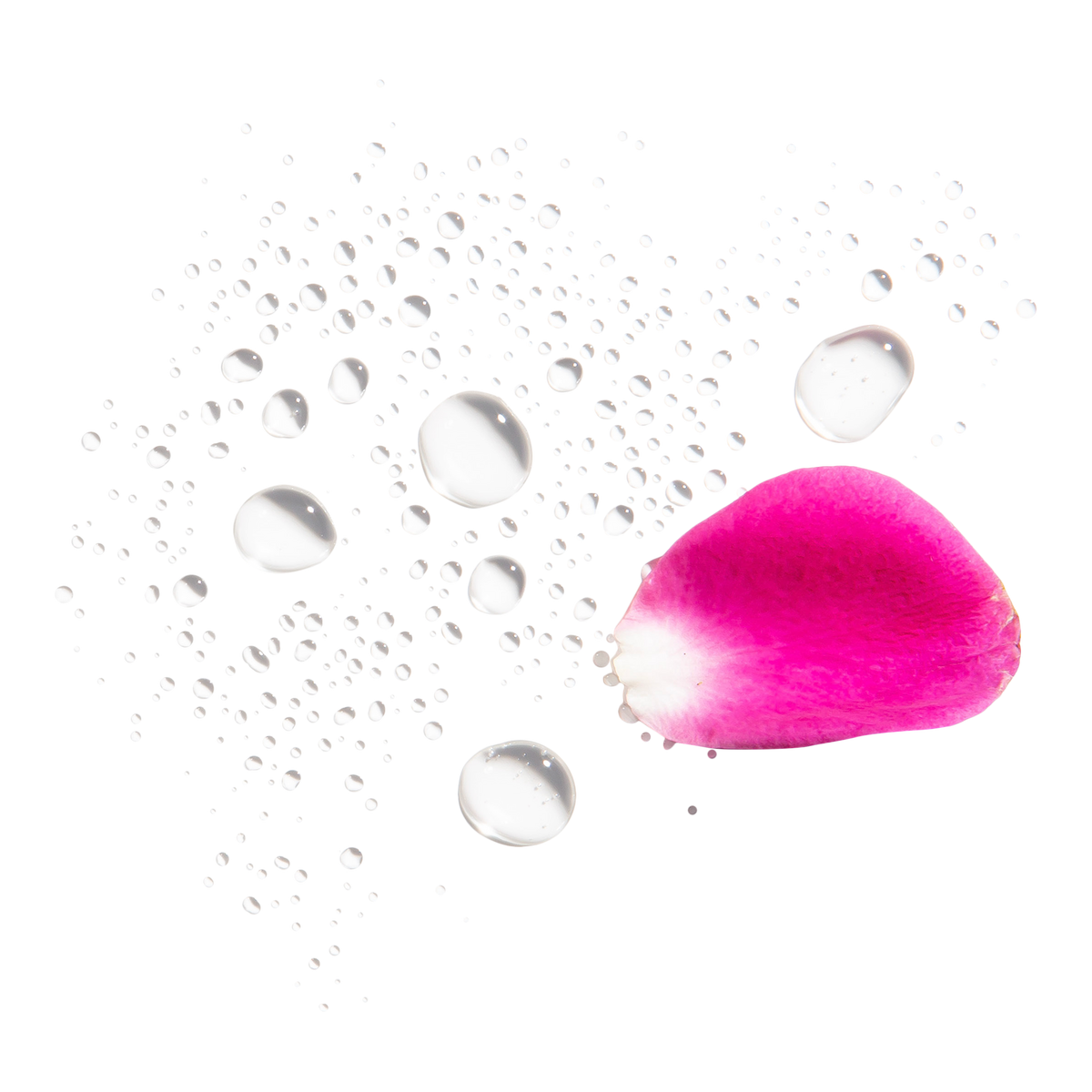 Rosewater Spray