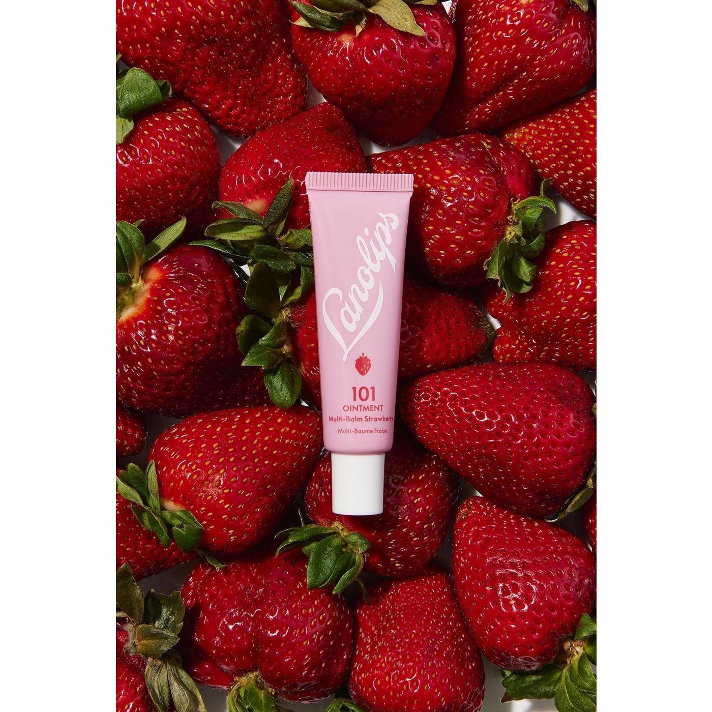 Strawberry 101 Ointment Multi-Balm - Dry Lips Treatment