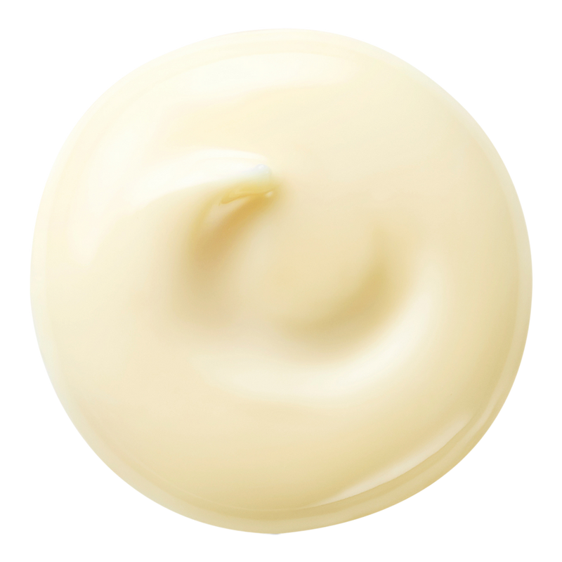 Shiseido Benefiance Wrinkle Smoothing Day Cream SPF 23 #4