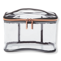 Basics Clear Train Case