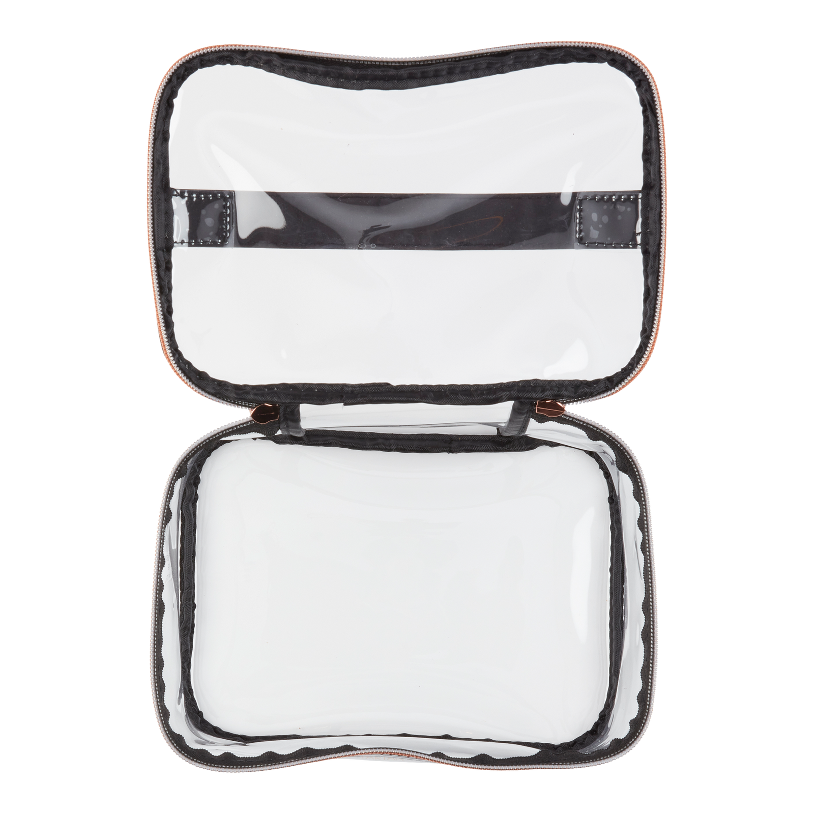 Basics Clear Train Case