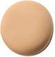 240N Medium Coverage, Natural Finish Luminous Foundation 