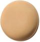 260N Medium Coverage, Natural Finish Luminous Foundation 