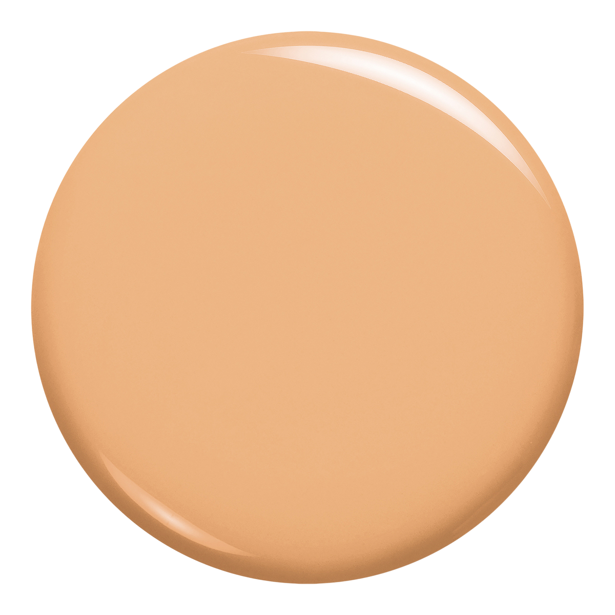Infallible Fresh Wear 24HR Foundation