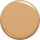 482 Radiant Sun Infallible Up to 32 Hour Fresh Wear Foundation 