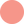 Beloved The Blush 
