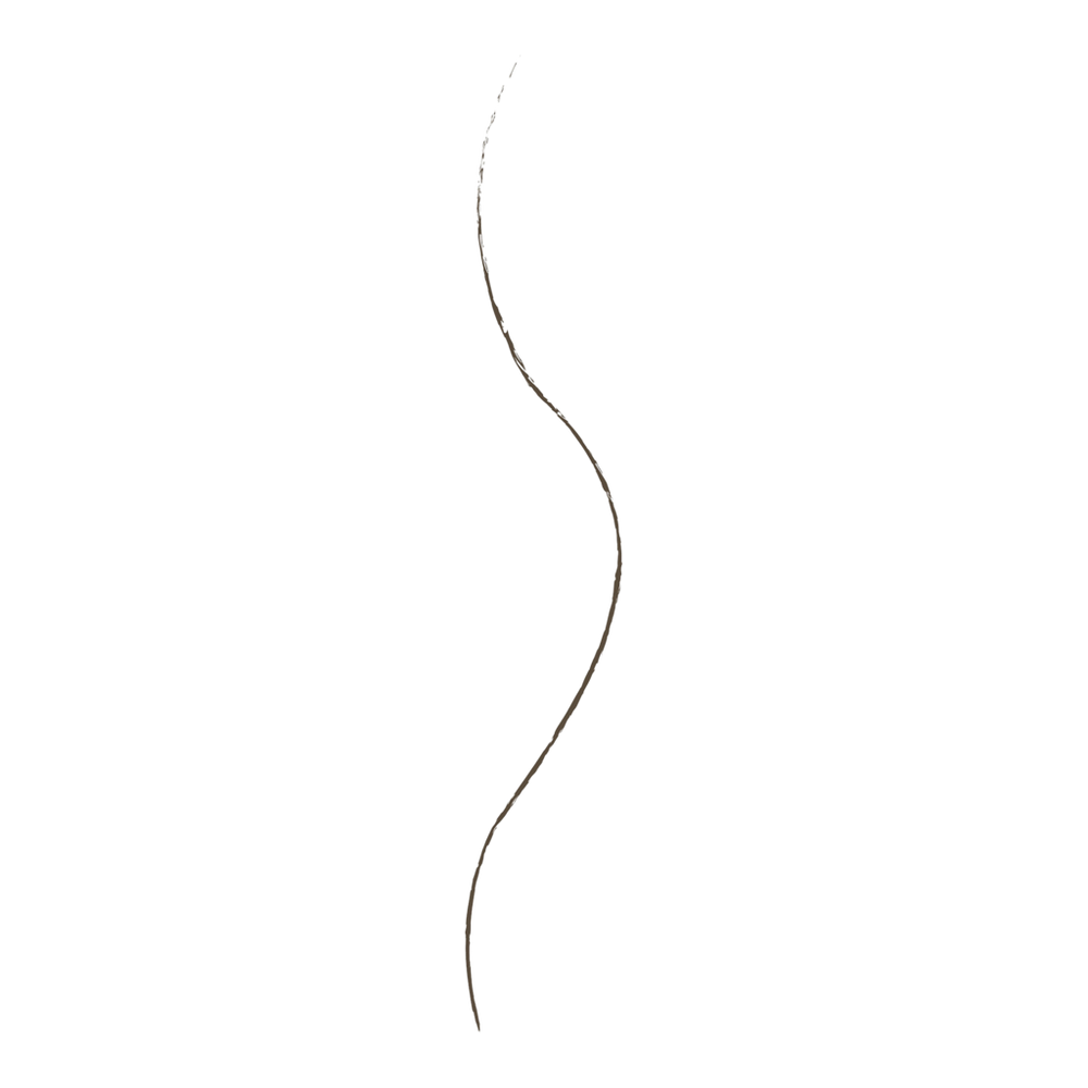 Ultimate Brow Micro Brow Pencil