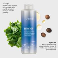 Moisture Recovery Moisturizing Shampoo for Thick/Coarse Hair, Dry Hair