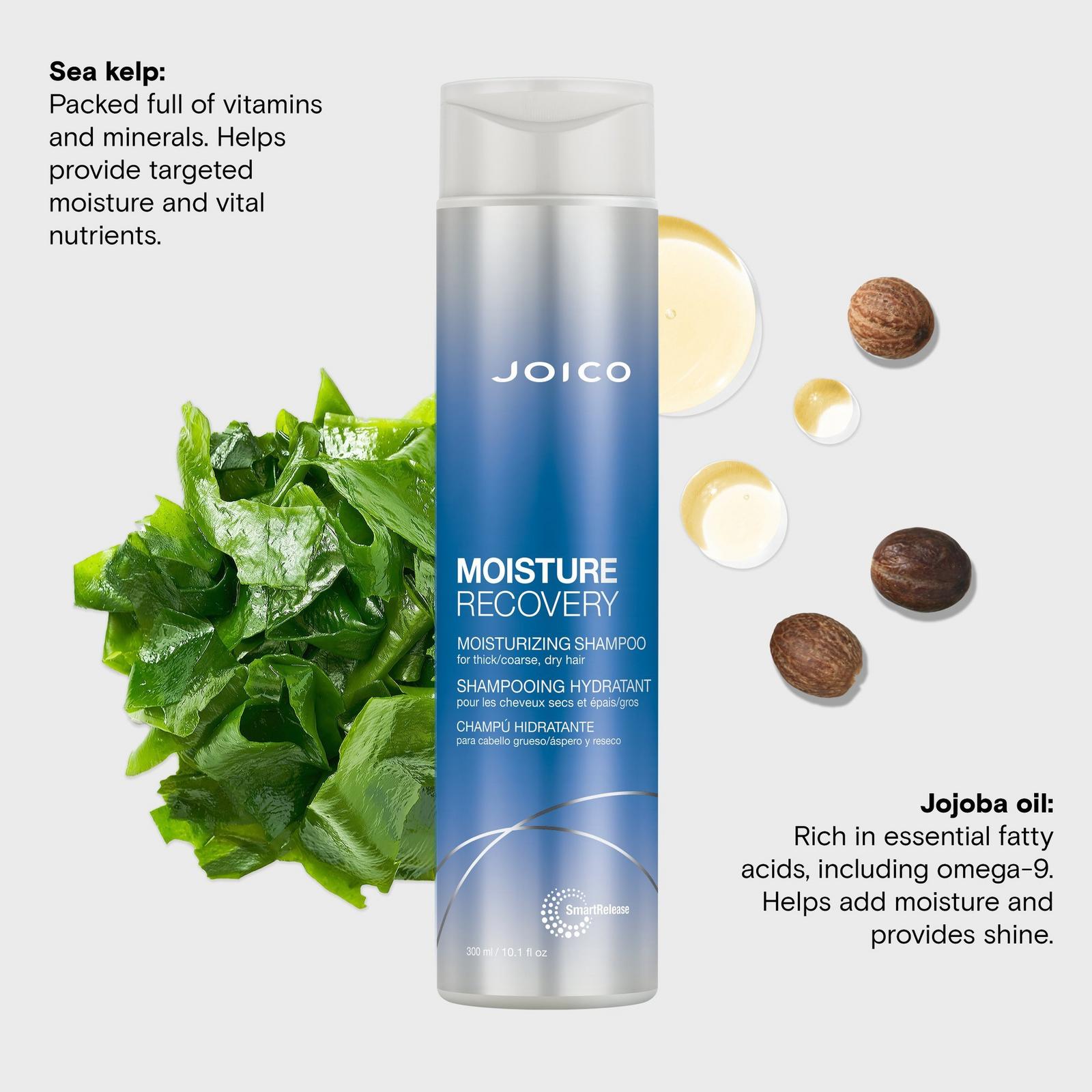Moisture Recovery Moisturizing Shampoo for Thick/Coarse Hair, Dry Hair