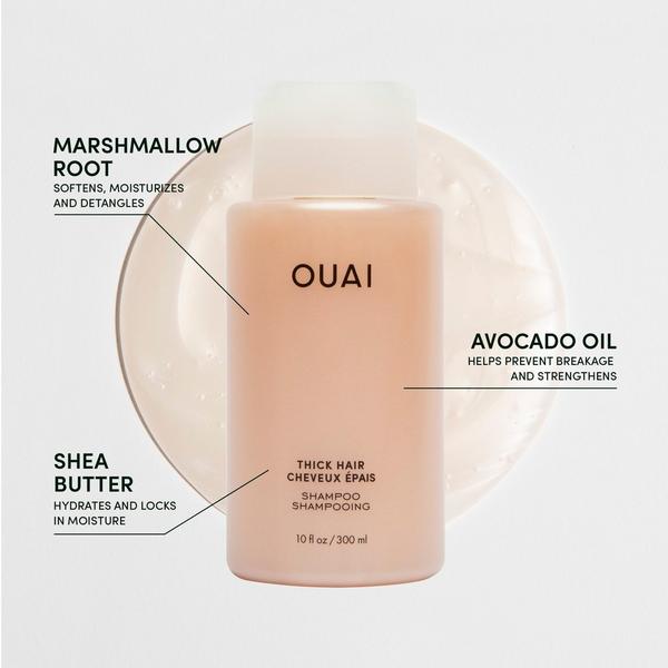 Champú para Cabello Grueso 2