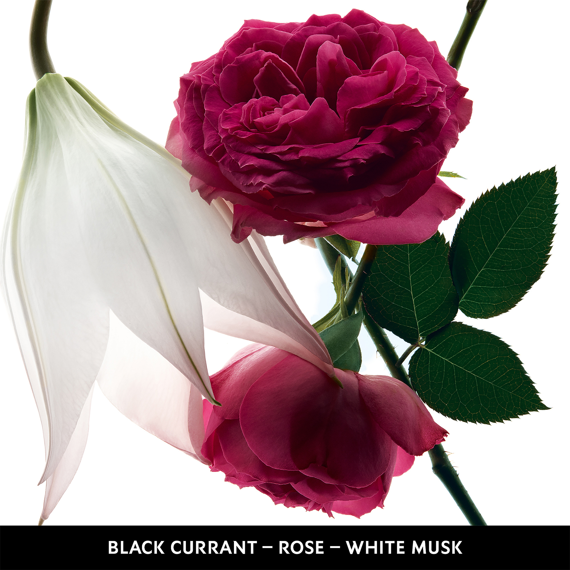 Yves Saint Laurent Mon Paris - Thumbnail 2