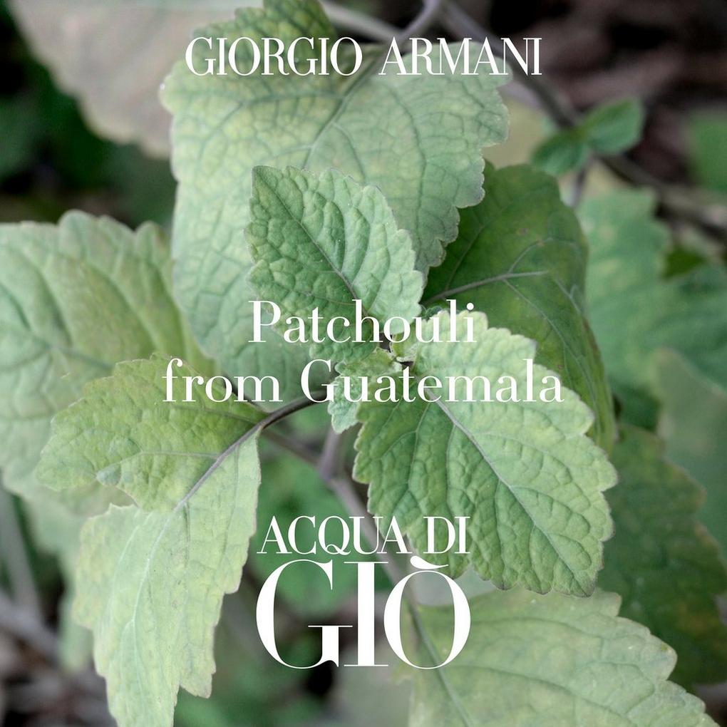 Acqua di Gio Profondo by Giorgio Armani Eau de Parfum Spray 4.2 oz Men