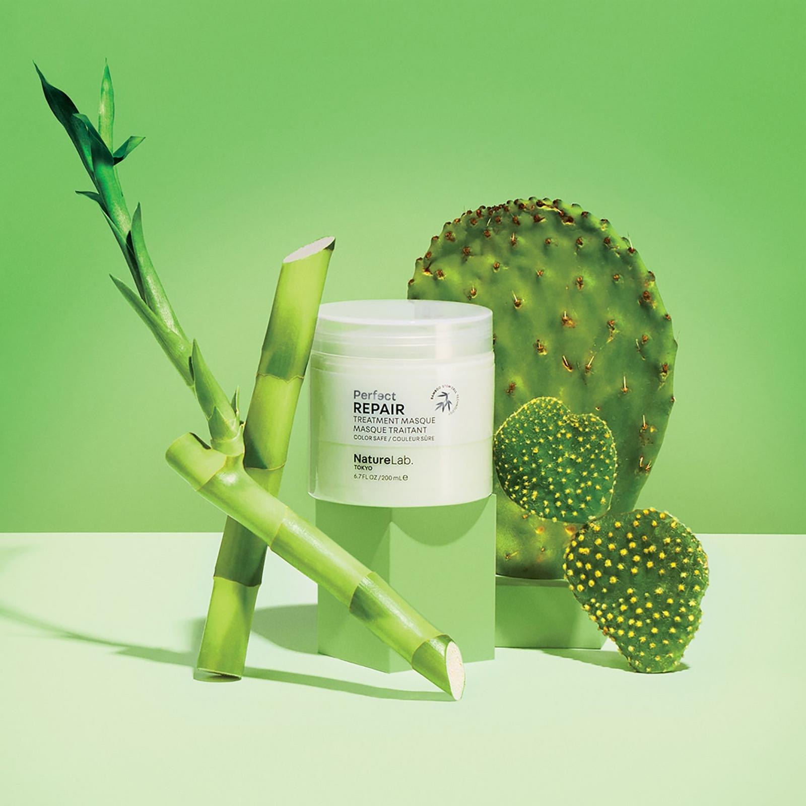 Perfect Repair Treatment Masque