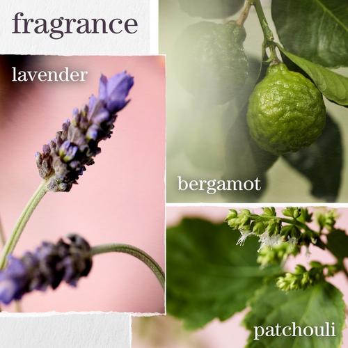 Pureology Hydrate Shampoo 6