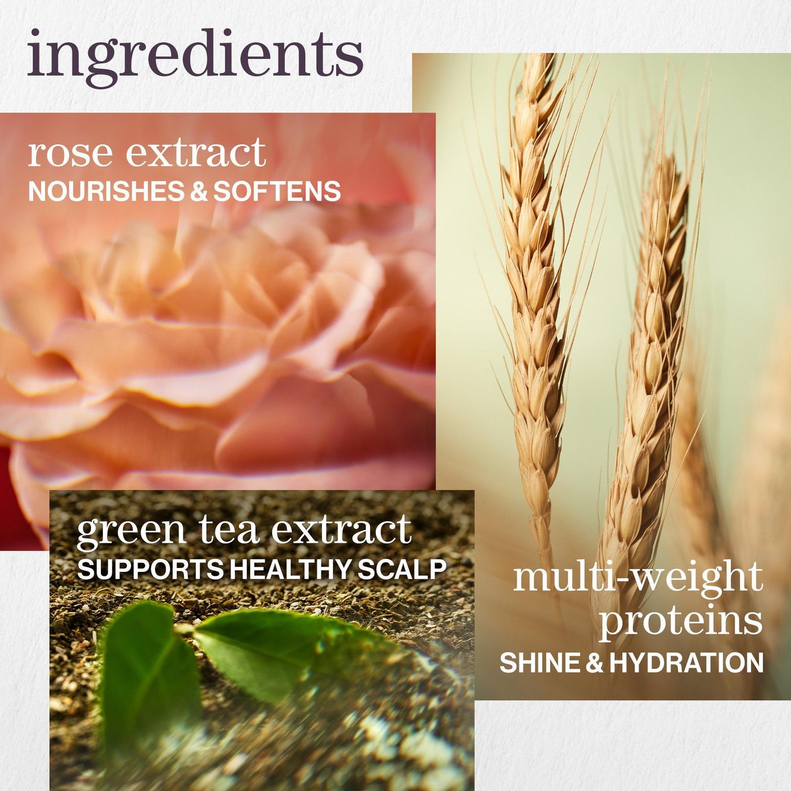 Travel Size Hydrate Shampoo