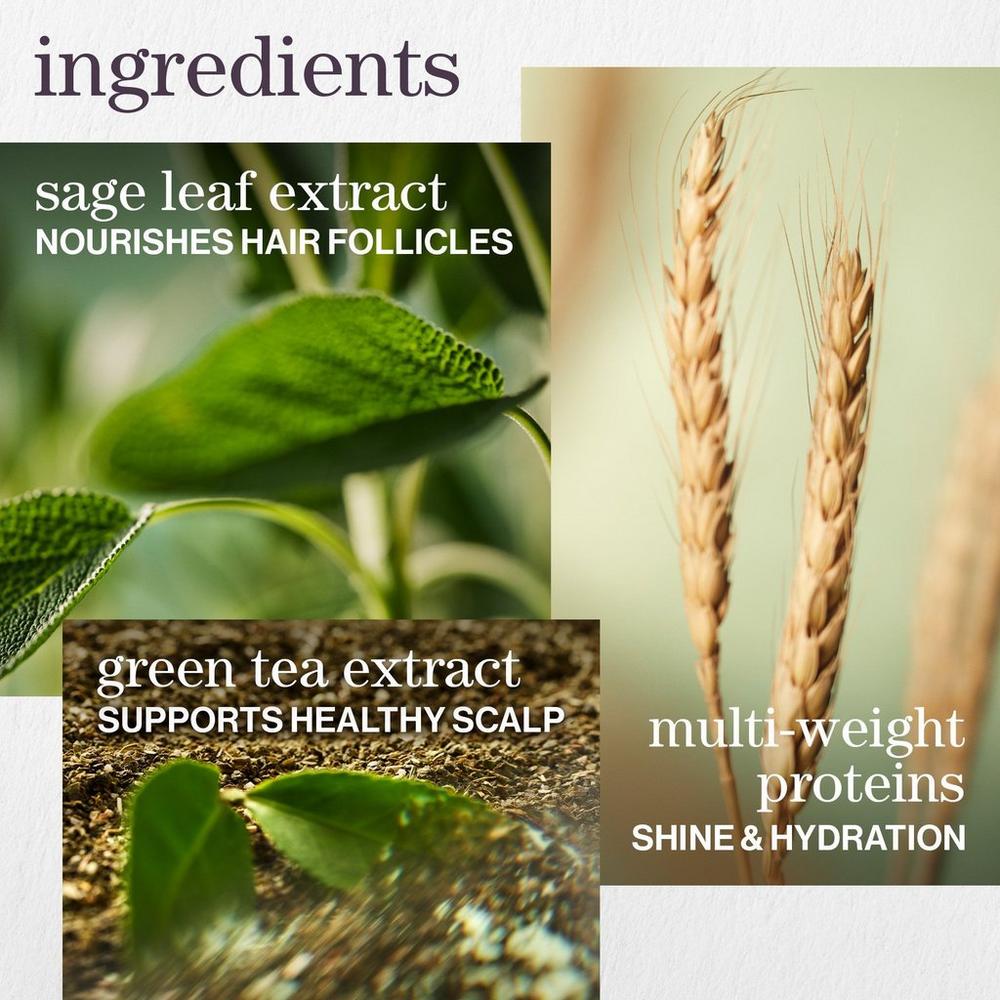 Travel Size Hydrate Conditioner