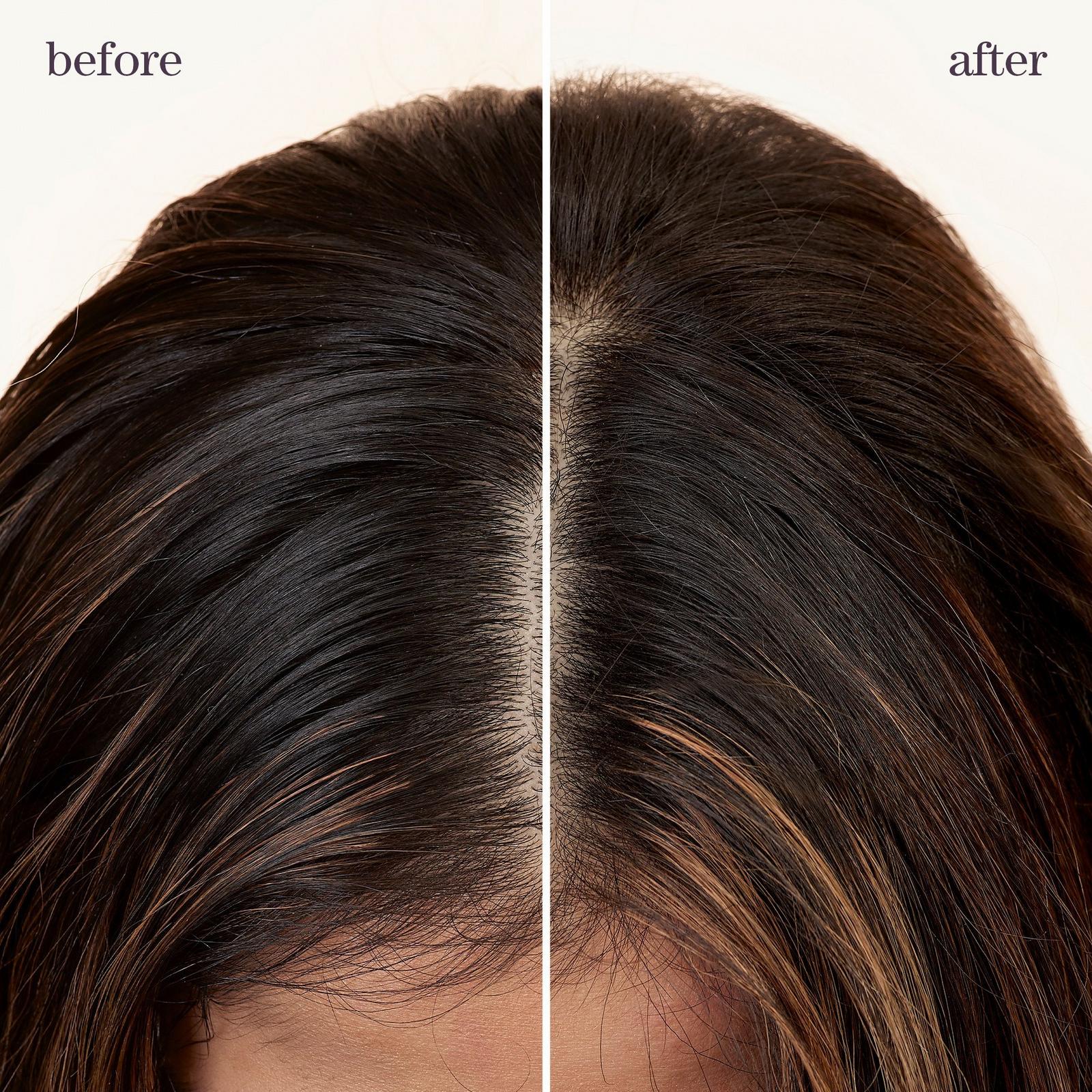 Style + Protect Refresh & Go Dry Shampoo