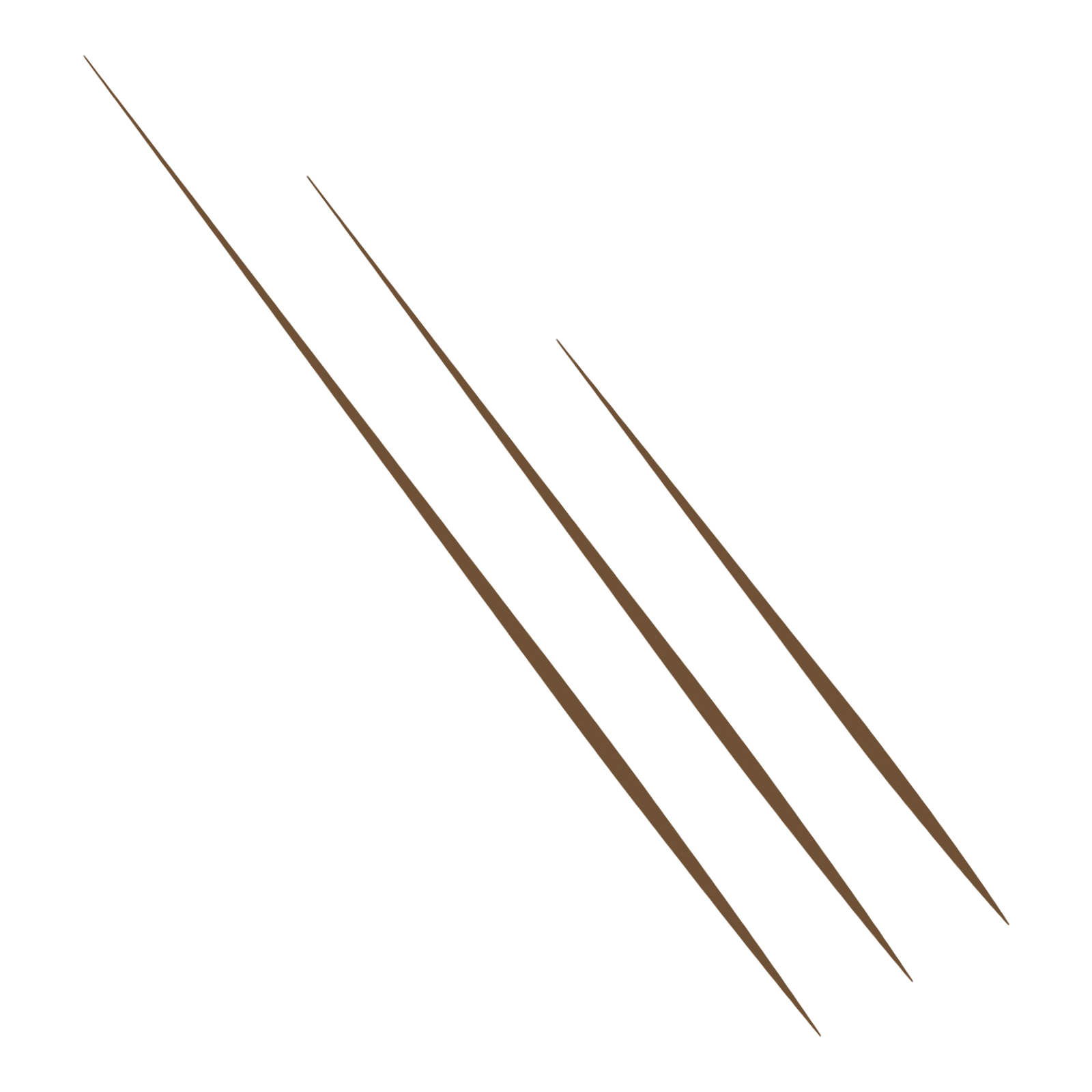 Weekend Brow Eyebrow Tint