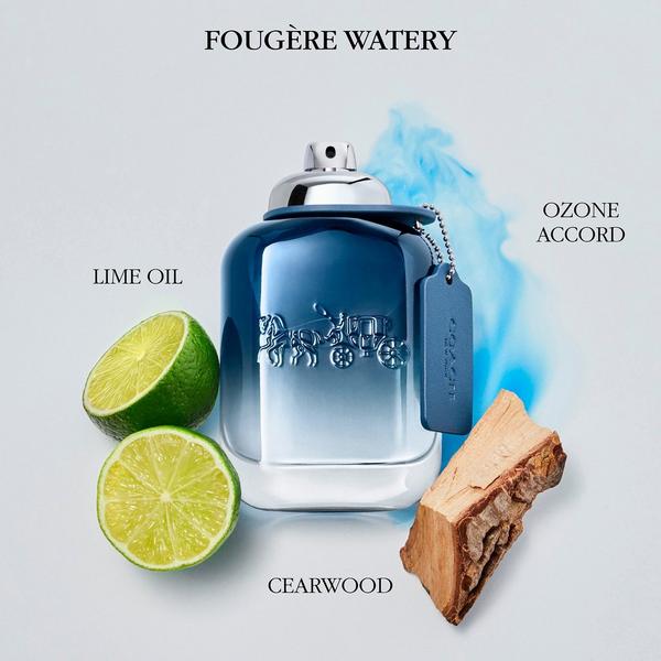 Coach Man Blue Eau de Toilette #2