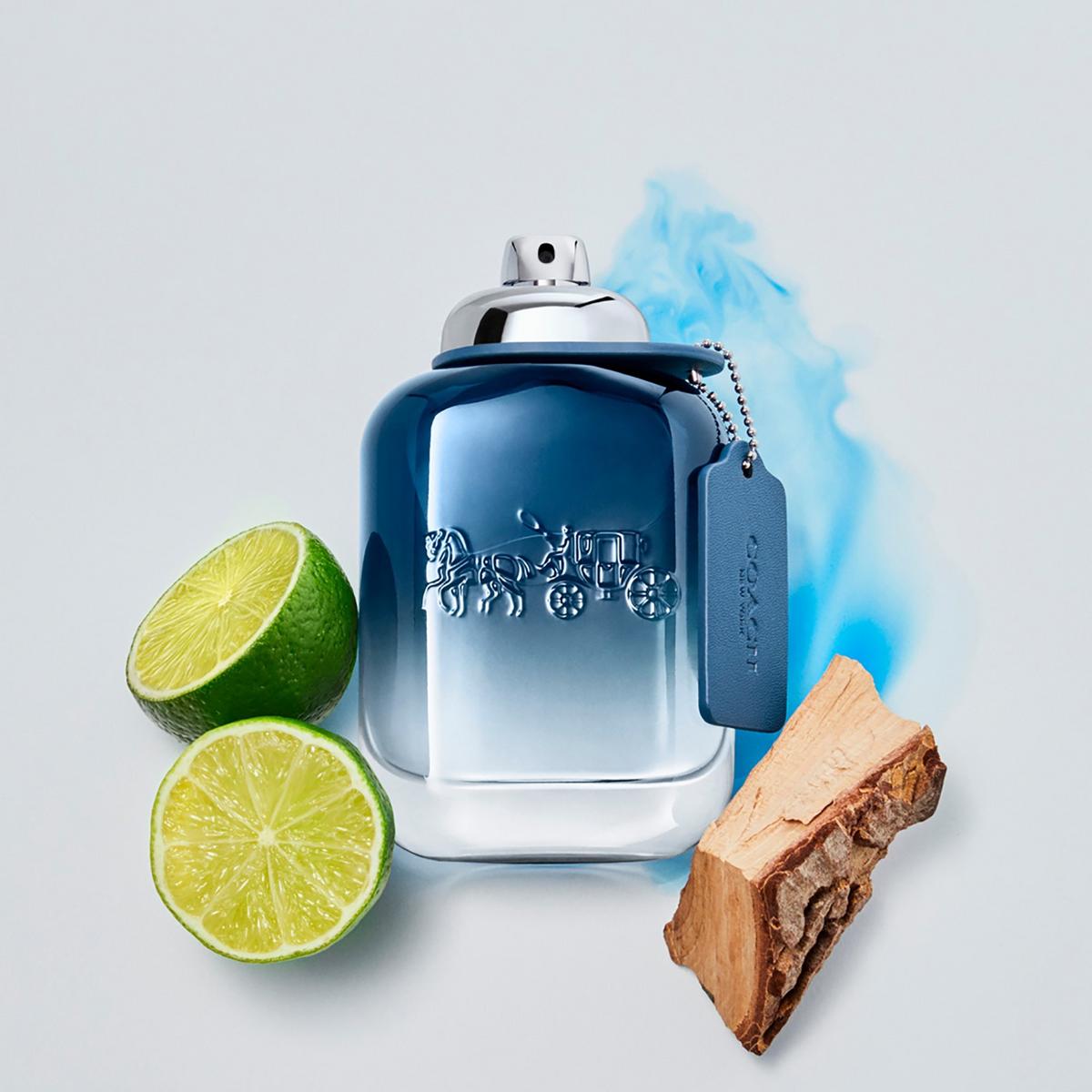 Blue Eau de Toilette Travel Spray