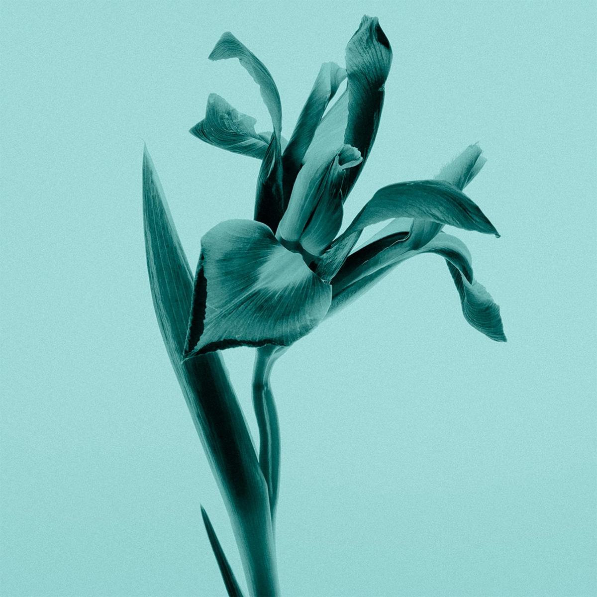 Tiffany Sheer Eau de Toilette