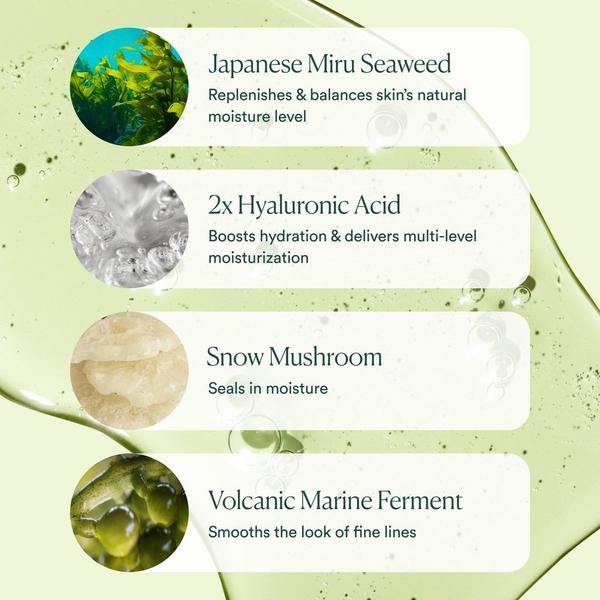 OSEA Hyaluronic Sea Serum #6