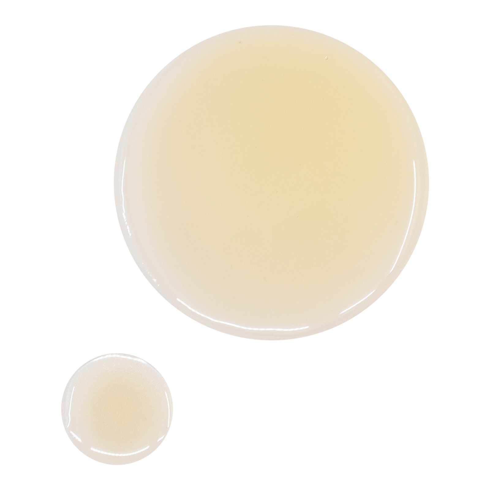 Undaria Algae Body Oil