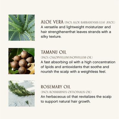 Sweet Spirit Leave In Conditioner