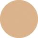 Warm Ivory Vanish Seamless Finish Foundation Stick 