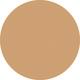 Sand Vanish Seamless Finish Foundation Stick 