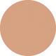 Light Beige Vanish Seamless Finish Foundation Stick 