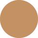 Golden Vanish Seamless Finish Foundation Stick 