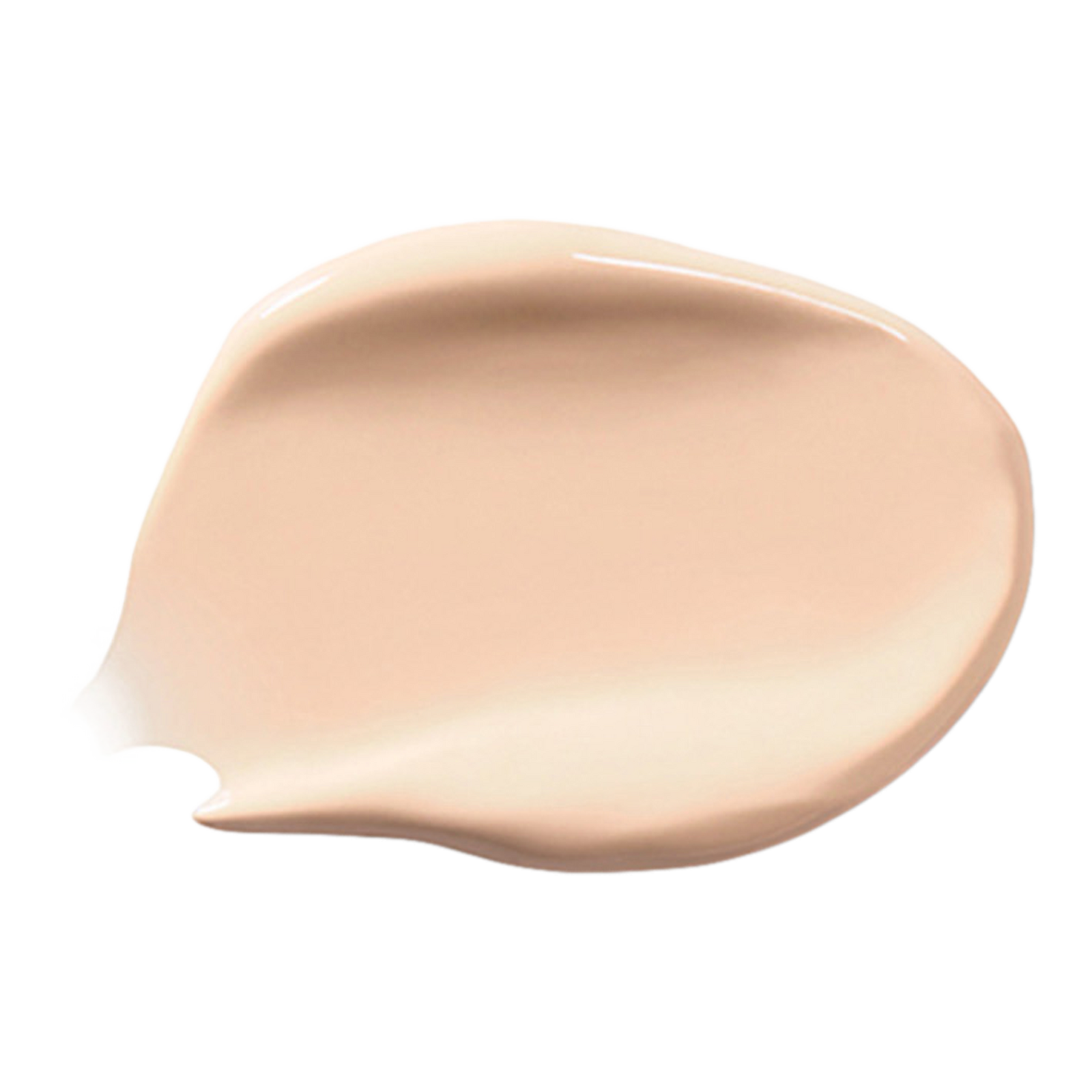 Vanish Airbrush Concealer