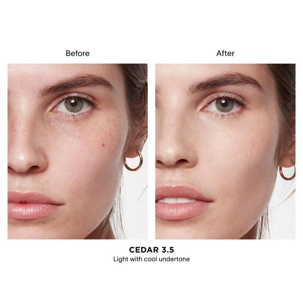 Vanish Airbrush Concealer