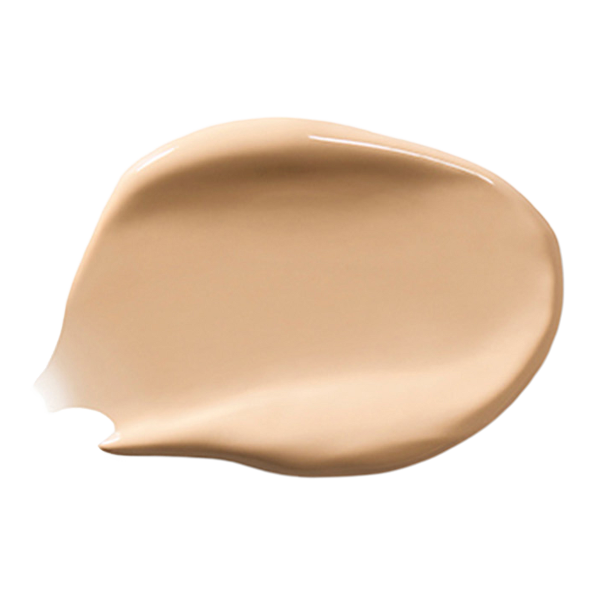 Vanish Airbrush Concealer