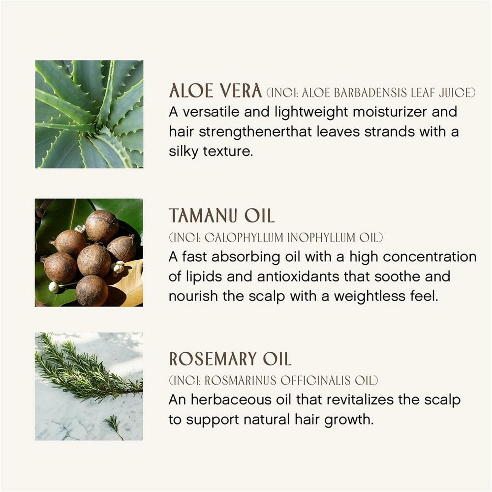 Travel Size Sweet Spirit Leave In Conditioner