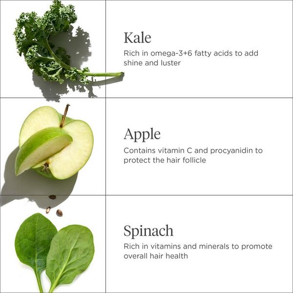 Briogeo Superfoods Kale + Apple Replenishing Conditioner #4