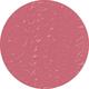 Promessa Stay All Day Liquid Lipstick 