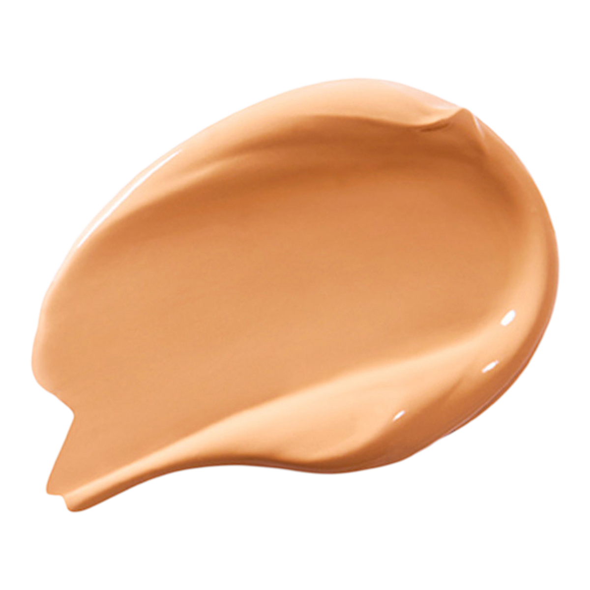 Vanish Airbrush Concealer